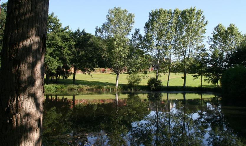 Domaine De Vilotte Bed & Breakfast Ardenais Exterior photo